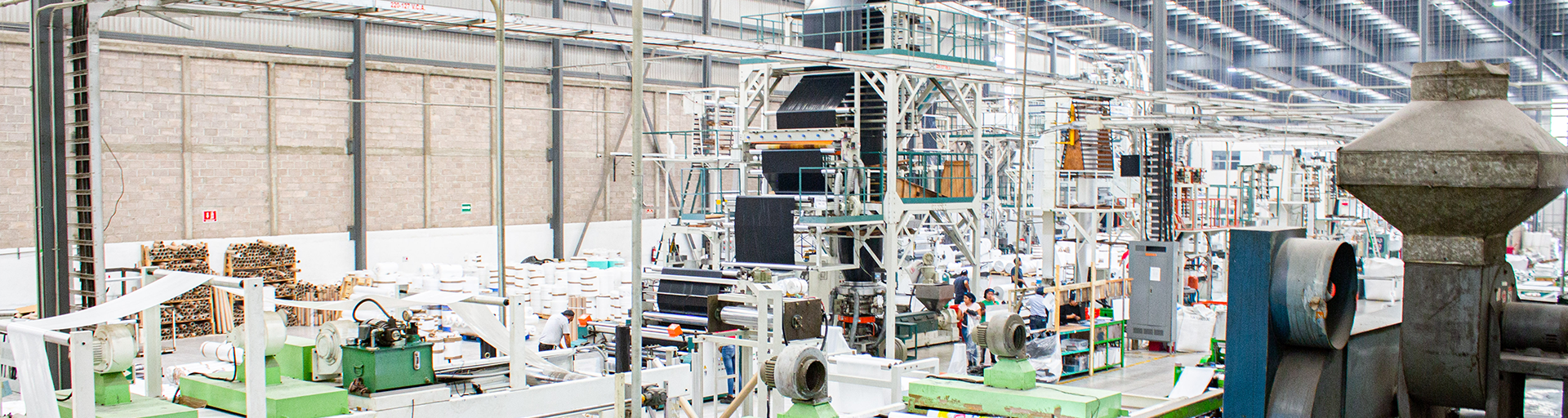 Un vistazo al proceso Rybisa