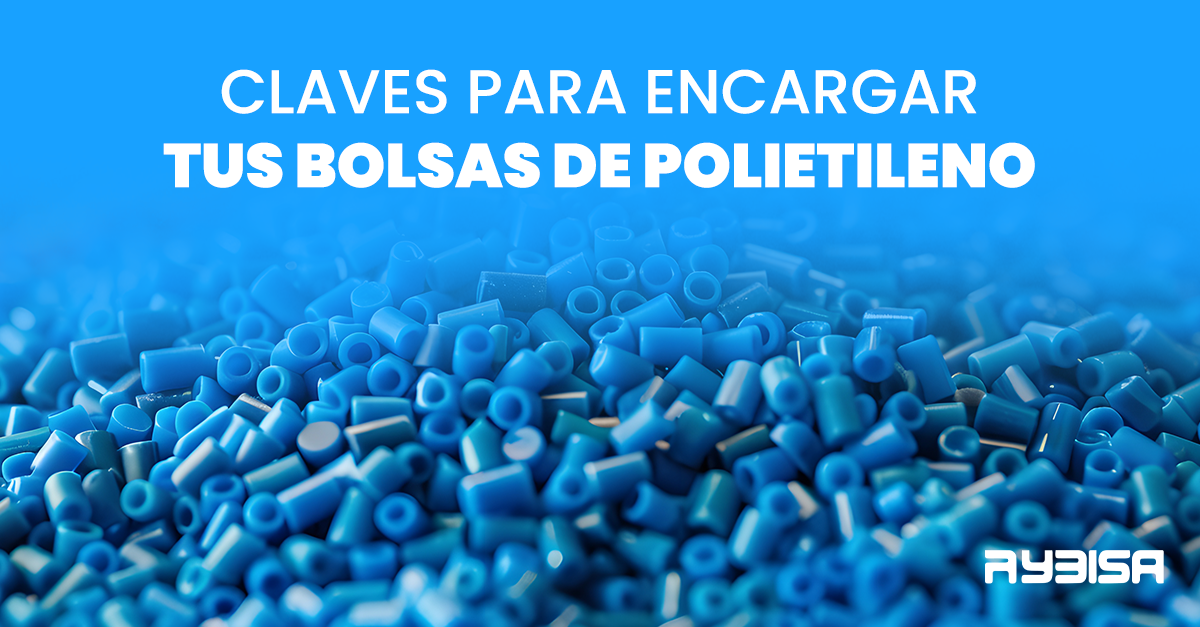 Aspectos a considerar antes de comprar bolsas de Rybisa