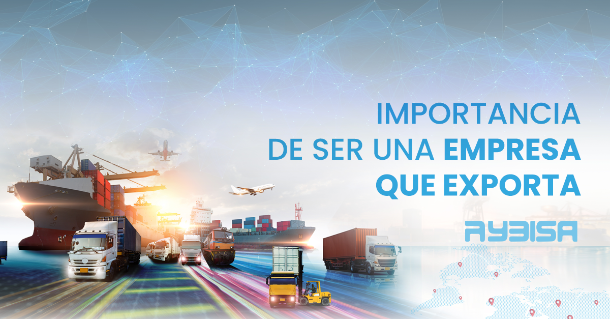 La exportación: Clave para el crecimiento de Rybisa en el mercado global