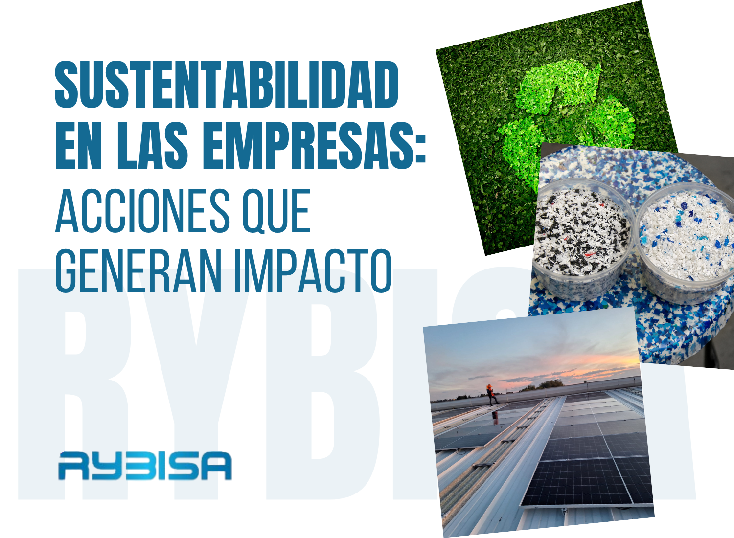 Sustentabilidad en las empresas: acciones que generan impacto